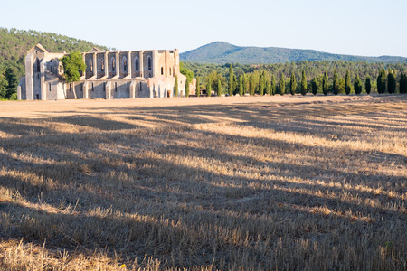 view of the abbey of san galgano in tuscanyの写真素材