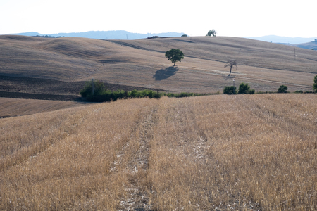 Plowed field ready to be cultivated in Val d'Orcia, Tuscanyの写真素材