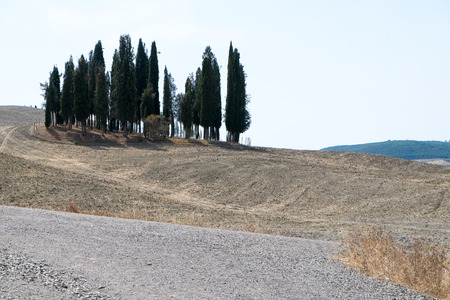 Plowed field ready to be cultivated in Val d'Orcia, Tuscanyの写真素材