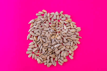 raw peeled sunflower seeds on pink backgroundの写真素材