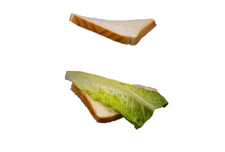Sandwich with a green lettuce leaf on a white backgroundの写真素材