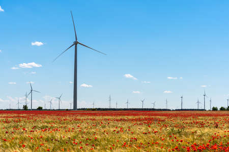 windmill tower in the flowery fields of Castilla and Leon in Spainの写真素材