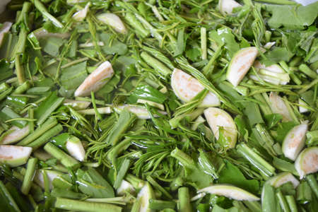 vegetable in local north of Thailand の写真素材