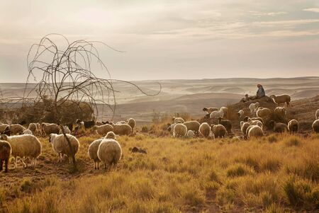 Shepherd and his sonの写真素材