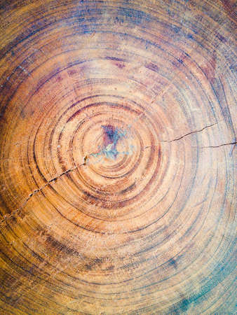 Wood Circle shapes backgroundの素材