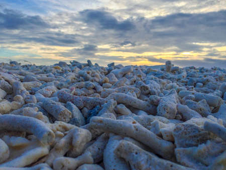 Thailand Islandの素材