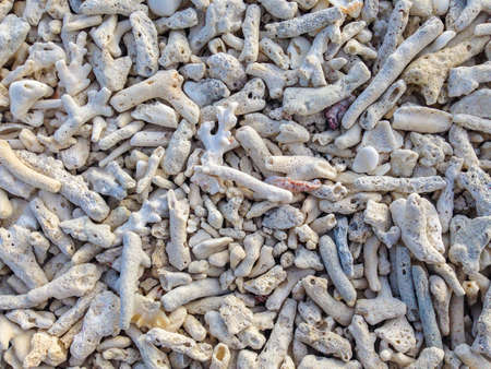 Thailand Islandの素材