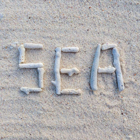 Coral text seaの素材