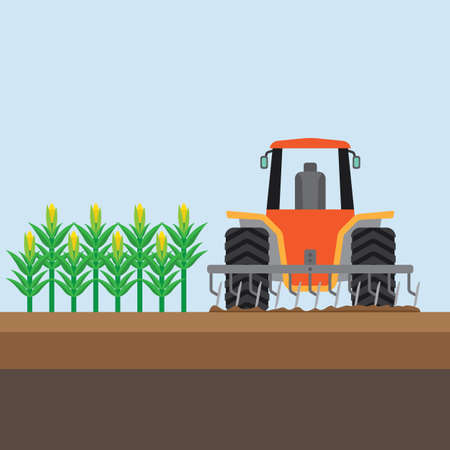 farming corn