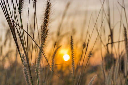 Mountain field during sunrise