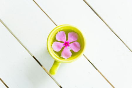 A pink flower in a green cupの写真素材