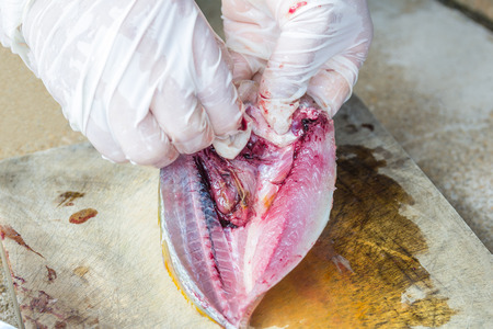 dissected yellowstripe scad fishの写真素材