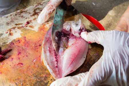dissected yellowstripe scad on wood cutting boardの写真素材