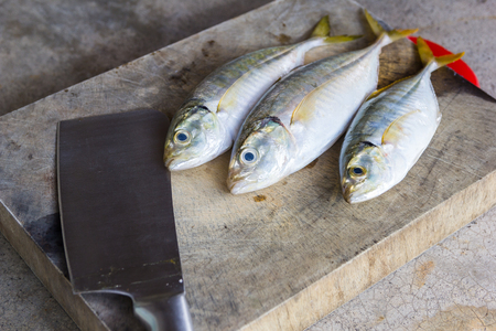 prepare for dissected yellowstripe scad on wood cutting boardの写真素材