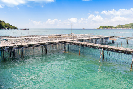 The coop for feeding fish in east of Thailand sea.の写真素材