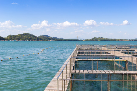 The coop for feeding fish in east of Thailand sea.の写真素材
