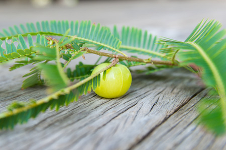 Indian gooseberries on wood floorの写真素材