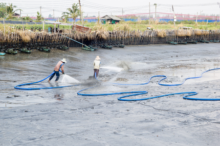 workers use high pressure water cleaning shrimp pondの写真素材