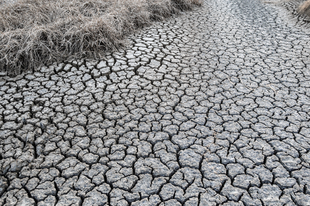 Cracked dry land without water and dry plantの写真素材