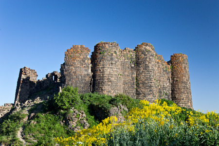 Ruins of the Amberd castle with blue sky and yellow flowers in frontの写真素材