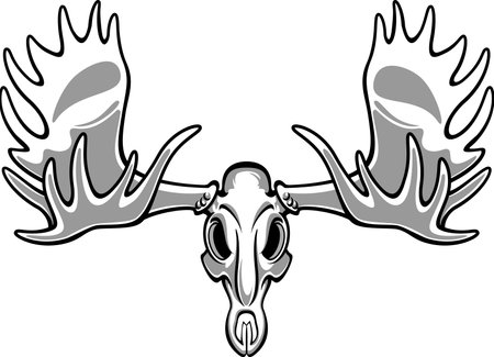 vector moose elk bull skull with antlersのイラスト素材