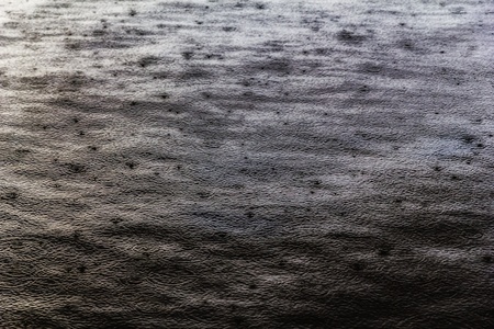 Raindrops an a water surface の写真素材