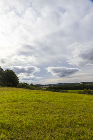 light green meadow in spring.の写真素材
