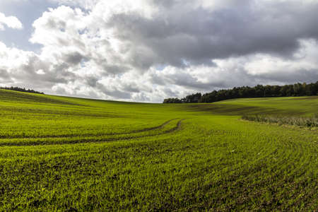green field with vibrant lines an dramatic sky.の写真素材