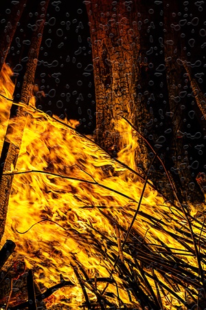 campfire in the night.の写真素材