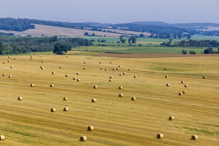 havest field with bale of straw の写真素材