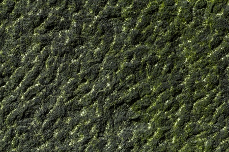granite background with strong patterns and moss.の写真素材