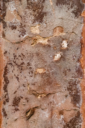 cracked vintage wall background.の写真素材