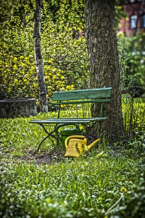 garden bench with yellow ewer の写真素材