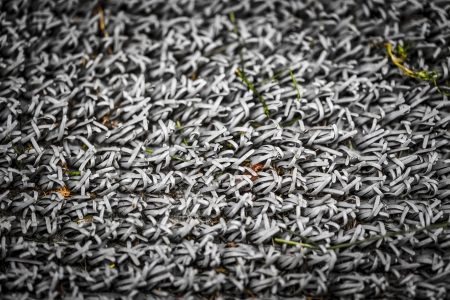 closeup of a outdoor  doormat texture.の写真素材