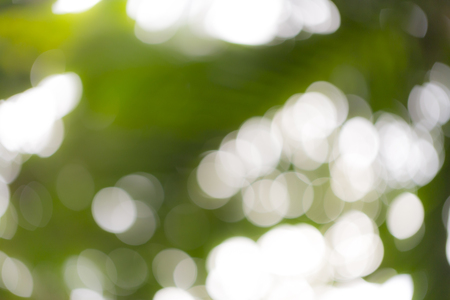 bokeh with blurred leafs in back light.の写真素材