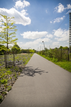 straight way to the horizon with meadow and trees aroundの写真素材
