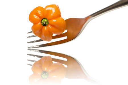 orange hot chili on a fork with reflection, isolated on white.の写真素材