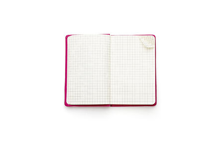 pink blank squared open diary, isolated on white.の写真素材
