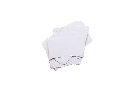 bunch of ripped white  pieces of paper, isolated on white.
