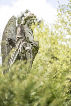 angel sculpture between blurred spring foliage  Unknown Artist of the 18th の写真素材