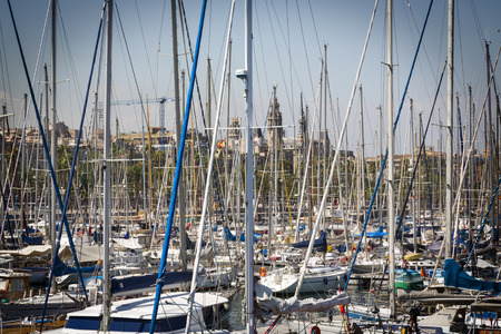 a huge wood of vessel masts in the harbor of Barcelona, Spain.