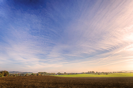 landscape with field, meadow and blue sky in autumnの写真素材
