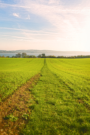 way through a grass field leading to a lake in autumnの写真素材