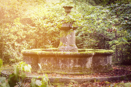 magical old fountain overgrown with moss and sunbeamsの写真素材
