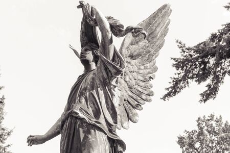 b/w shot of an angel sculpture with white skyの写真素材