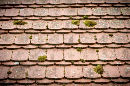 close up of an old tieled roof overgrown with mossの写真素材