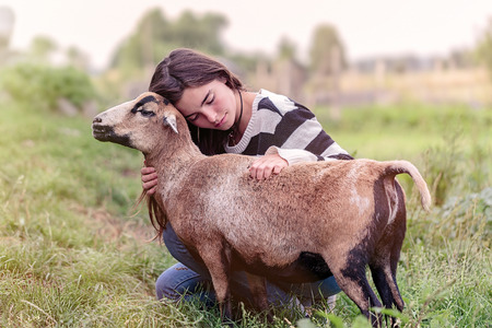 woman is stroking a brown sheepの写真素材
