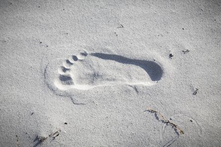 footprint at the beachの写真素材