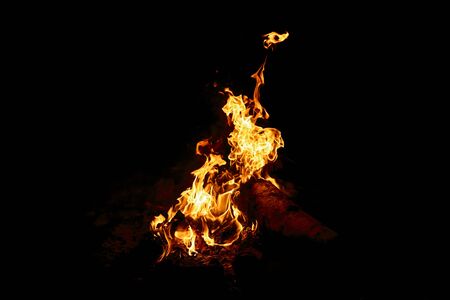 campfire in the night for backgrounds and compositions