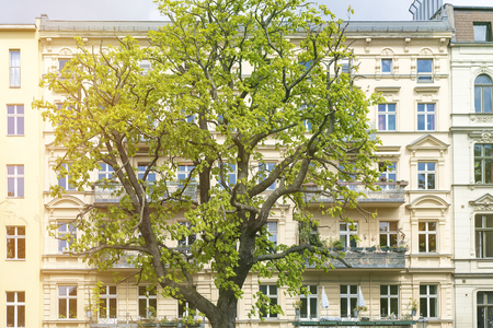 facade of an old house with a tree in frontの写真素材
